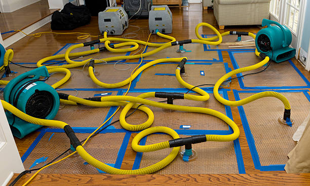 Professional Crawl Space Water Removal technician working in Avon, PA